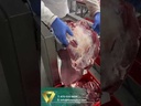FBMTECH DONER MEAT SLICING MACHINE