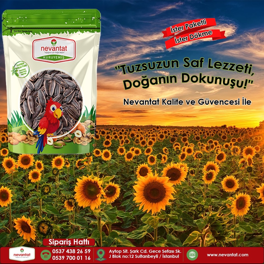Nevantat Roasted Sunflower Seed (R/S) 120 Gr X 12